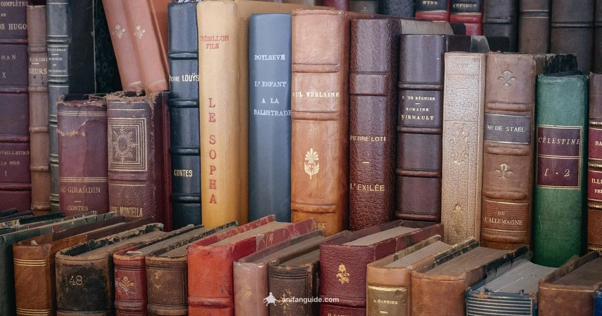 Manga vs Graphic Novel - AniFanGuide