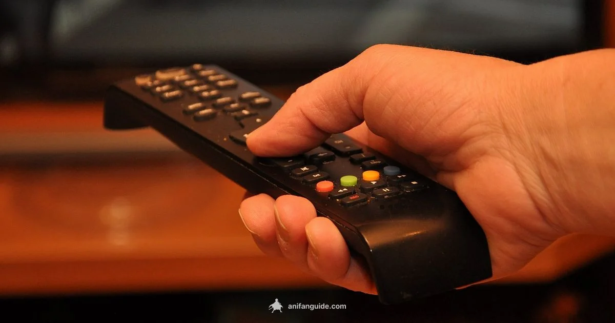 Prime Video Anime - AniFanGuide