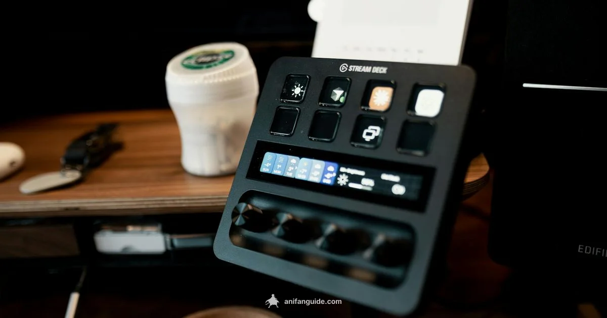 Income Explorer - AniFanGuide