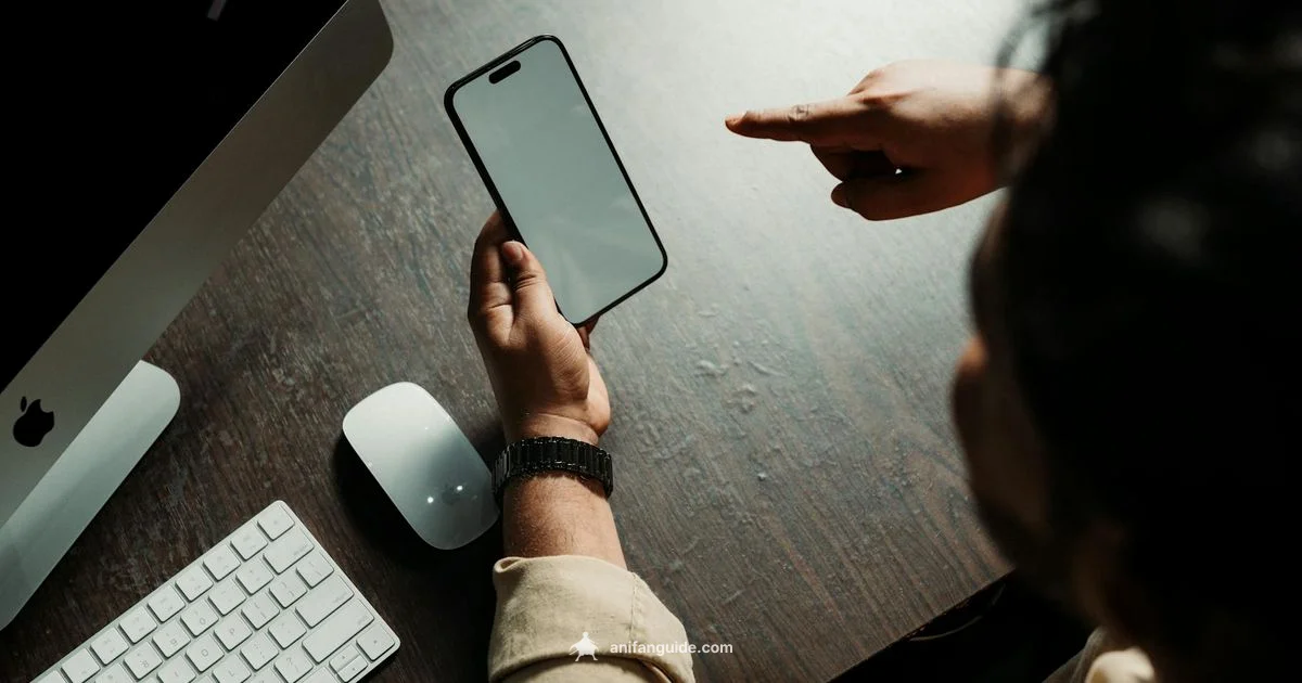 Dub vs Sub Guide - AniFanGuide