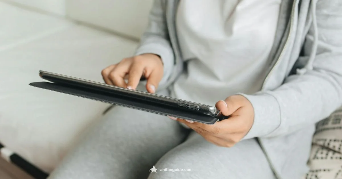 Free Anime Night - AniFanGuide