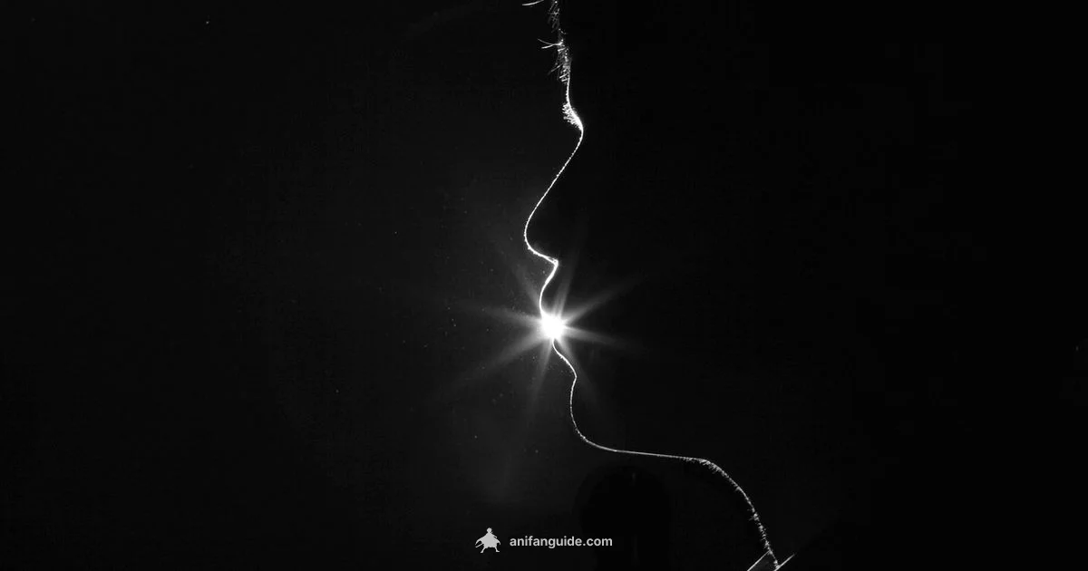 Figure Price Guide - AniFanGuide