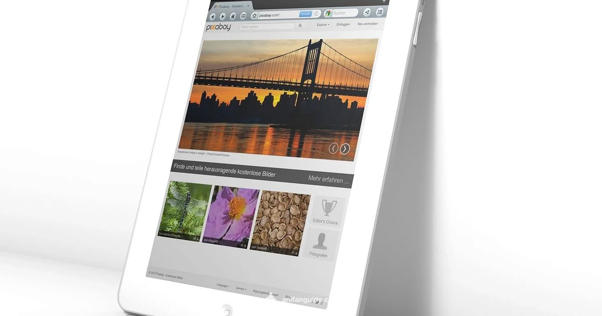 AI vs Human Anime - AniFanGuide