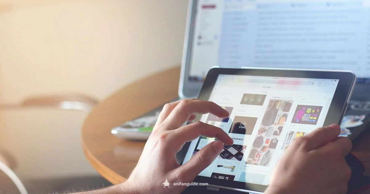 MAL Guide - AniFanGuide