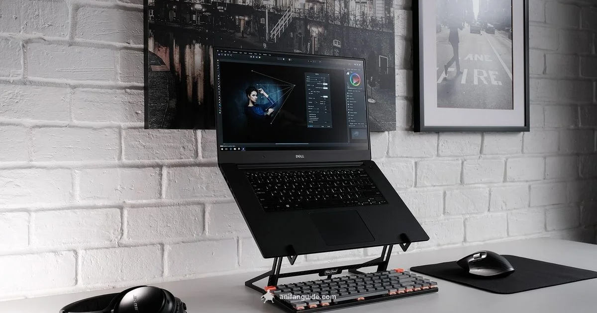 Smart Anime Purchases - AniFanGuide