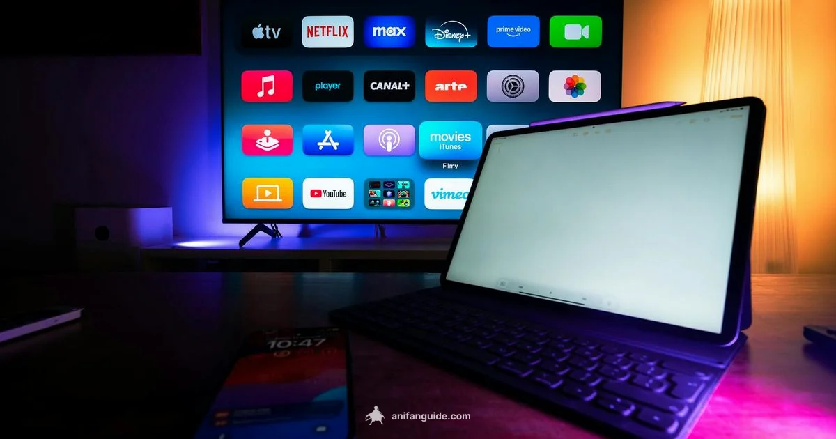 Anime on Android TV - AniFanGuide