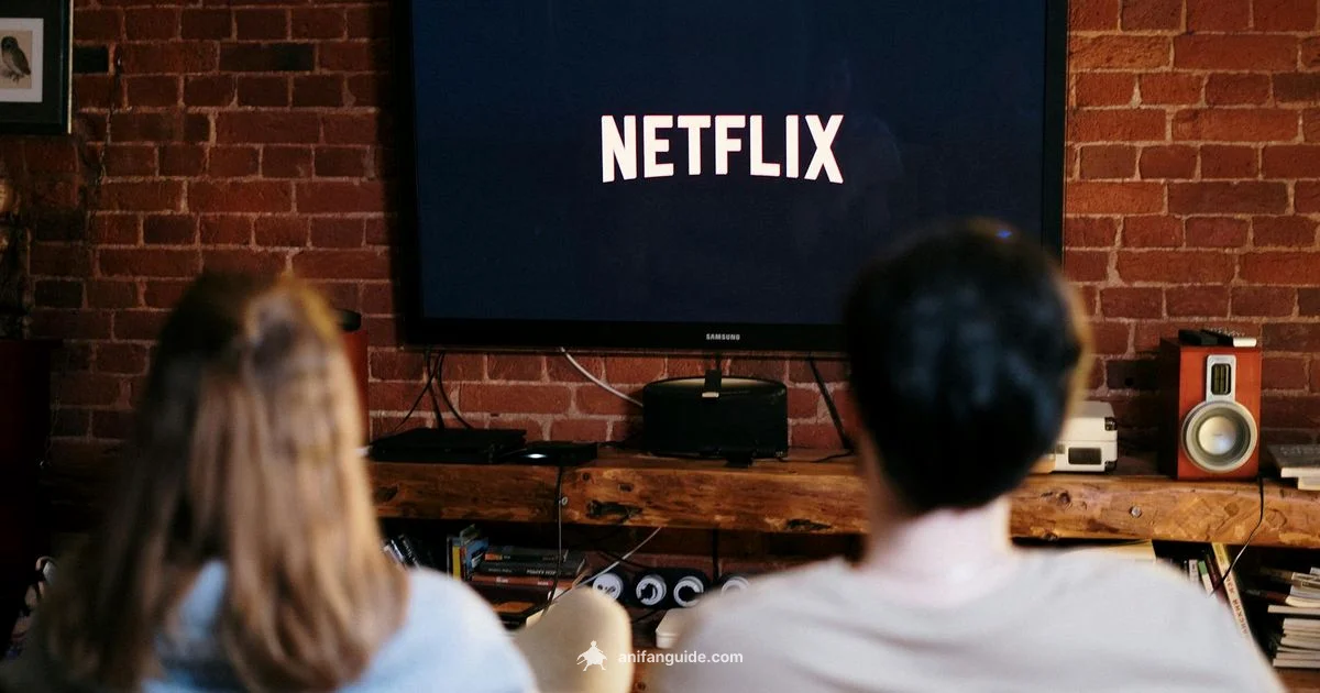 Brain Meets Anime - AniFanGuide