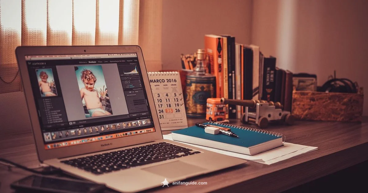 JJK Studio Insight - AniFanGuide