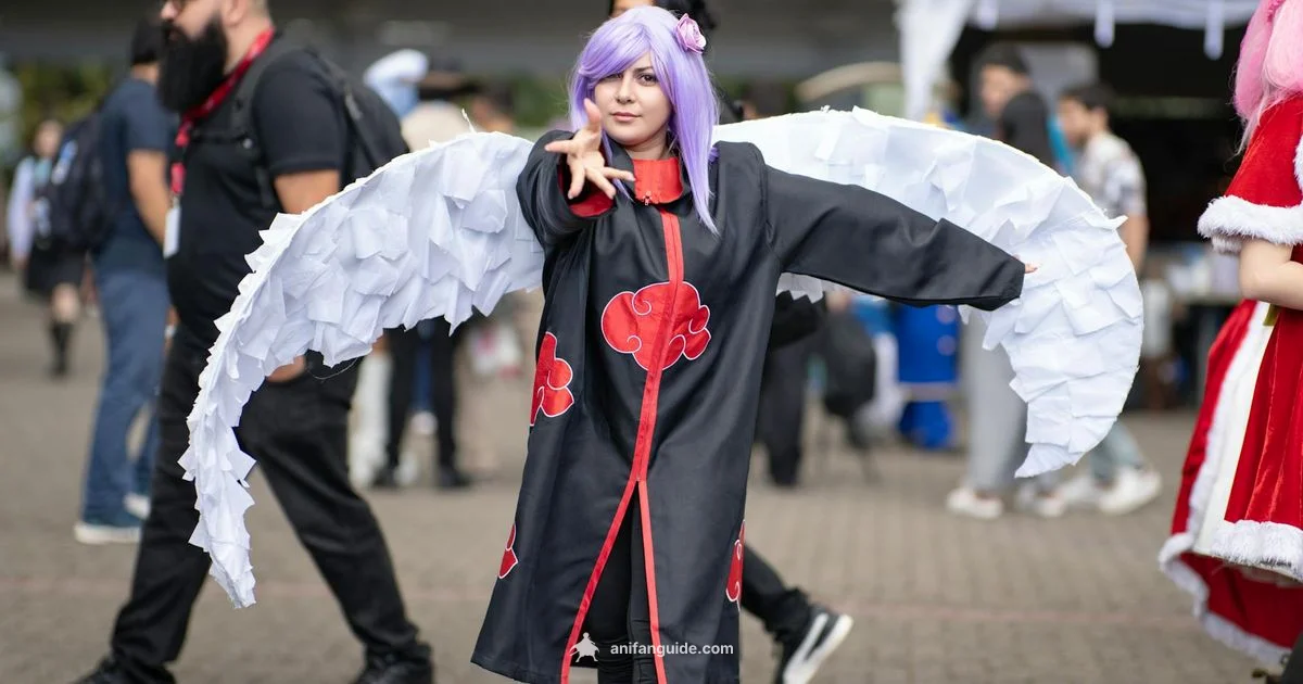 What Fans Like - AniFanGuide