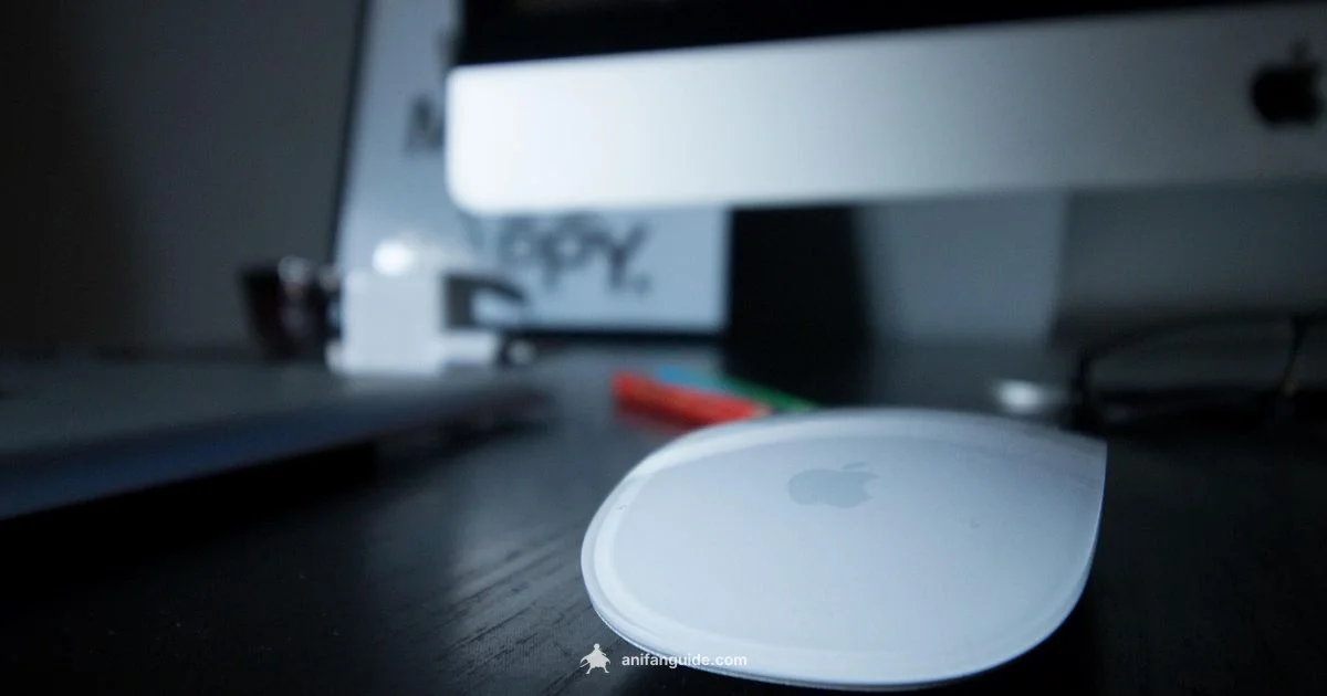 Anime vs Cartoon - AniFanGuide