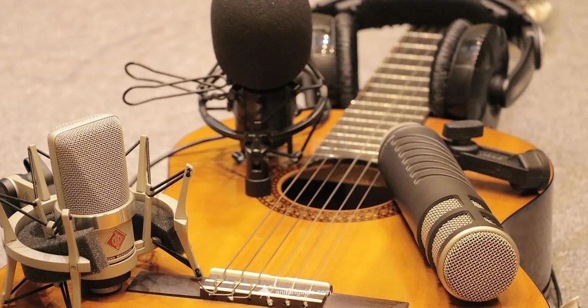 Dubbing Demystified Dubbing Demystified - AniFanGuide