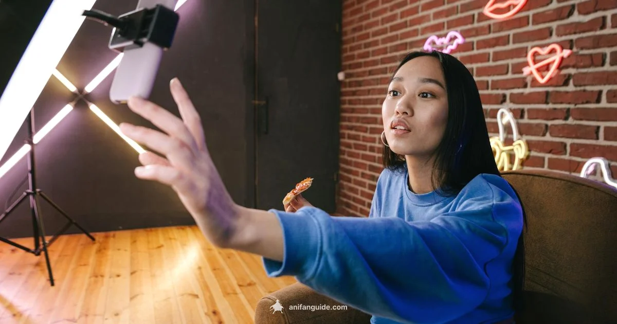 Dubbing Across Borders - AniFanGuide