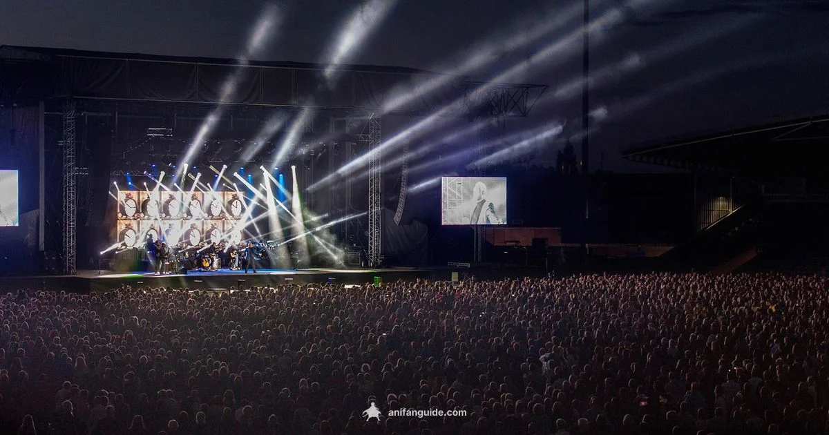 Film Red Spotlight - AniFanGuide