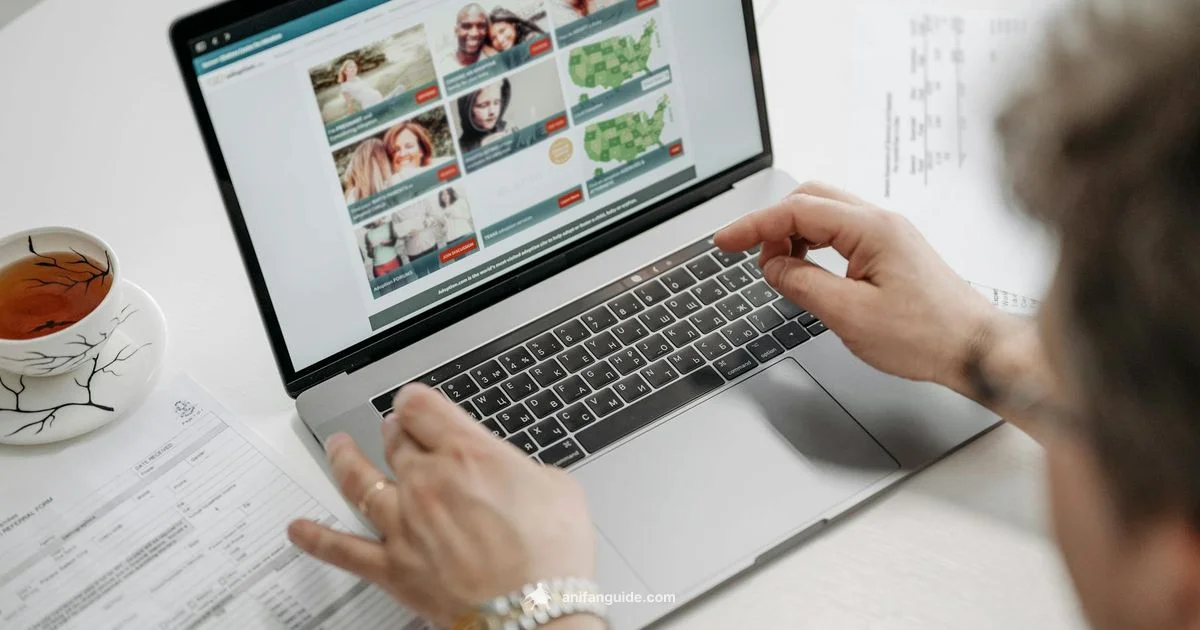 Add Anime to Letterboxd - AniFanGuide