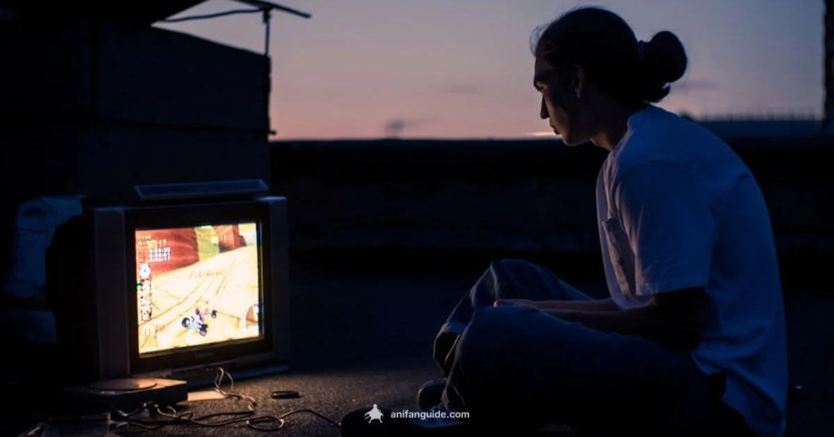 What Is Animeflix What Is Animeflix - AniFanGuide