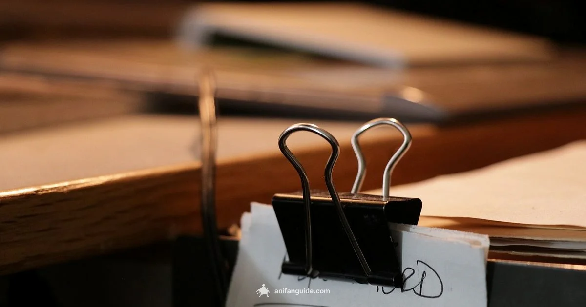 Anime Salary Guide - AniFanGuide