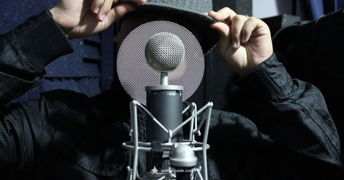 Dubbed Anime Guide Dubbed Anime Guide - AniFanGuide