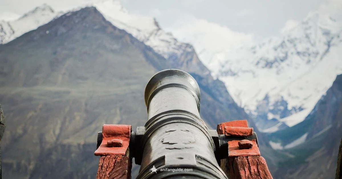 Anime Canon Overview - AniFanGuide