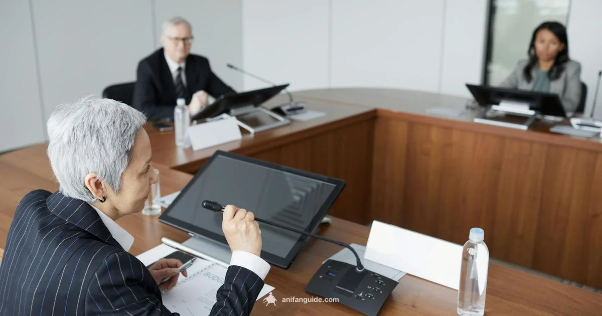 Anime Earnings Overview - AniFanGuide