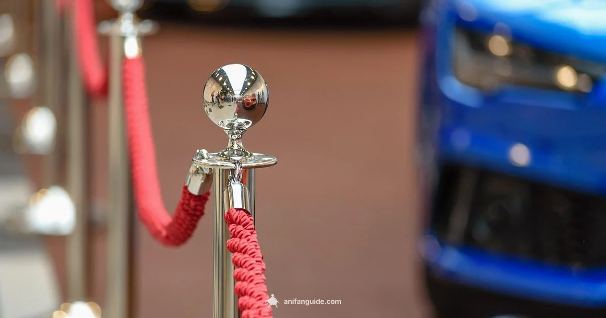 Anime Award Guide - AniFanGuide