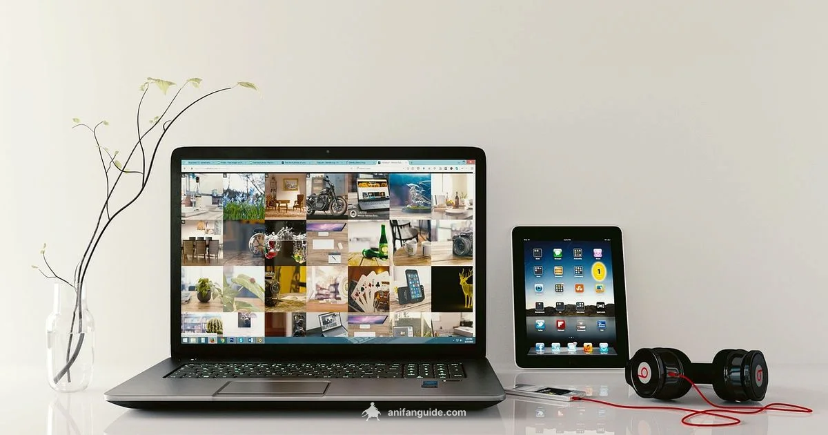 Anime Production Toolkit - AniFanGuide