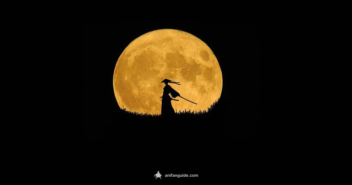 Anime Site Troubleshooting - AniFanGuide