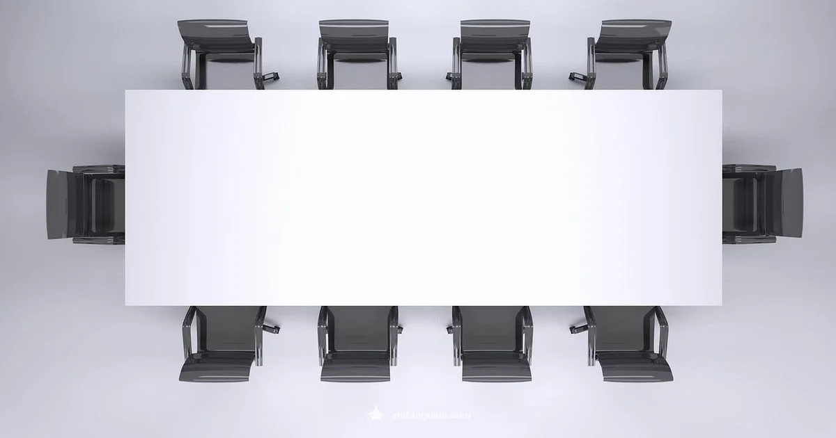 2025 Preview - AniFanGuide