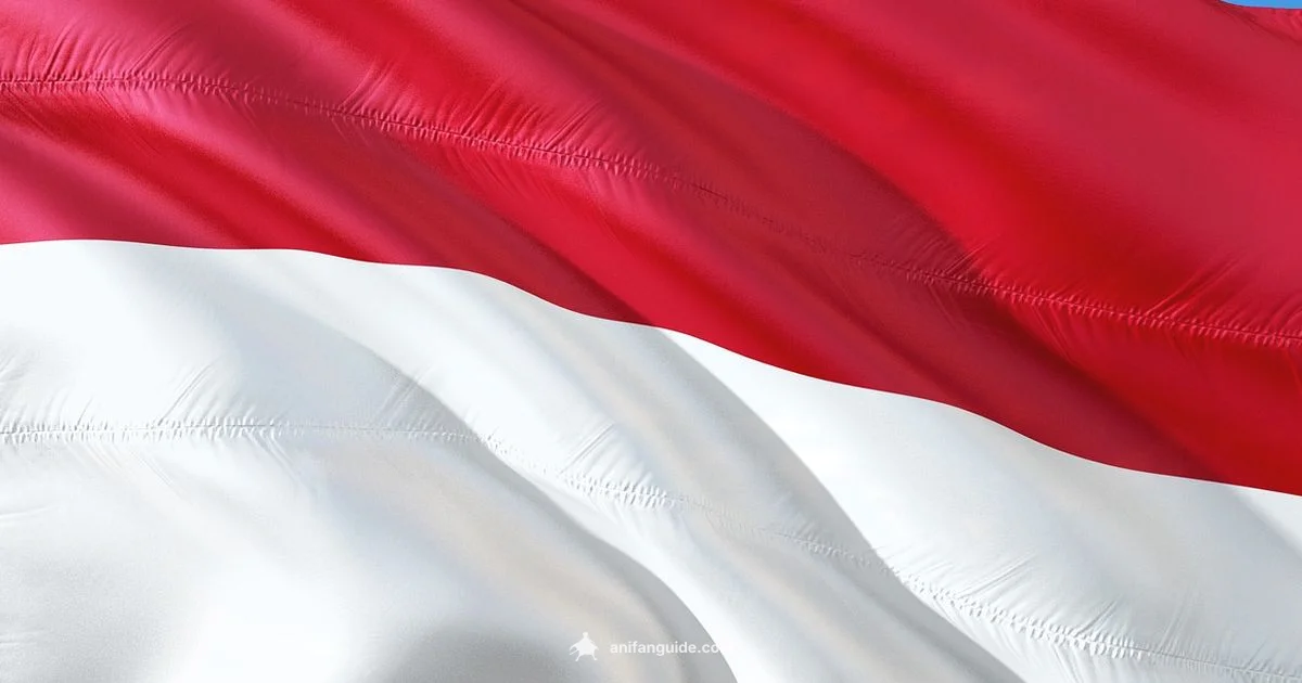 Top Anime Picks - AniFanGuide