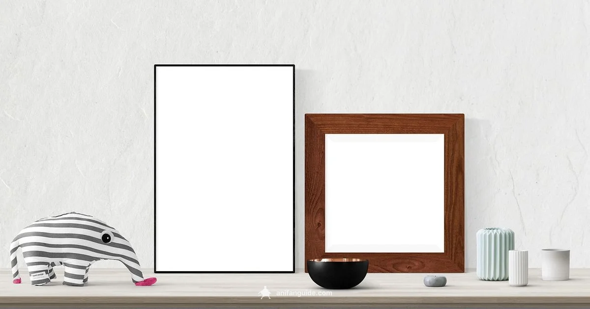 Boundaries & Balance - AniFanGuide