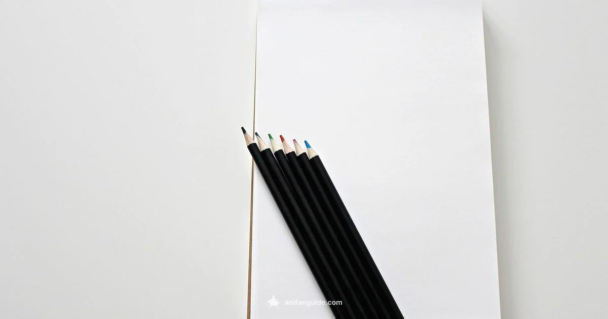 Anime Art Learning - AniFanGuide