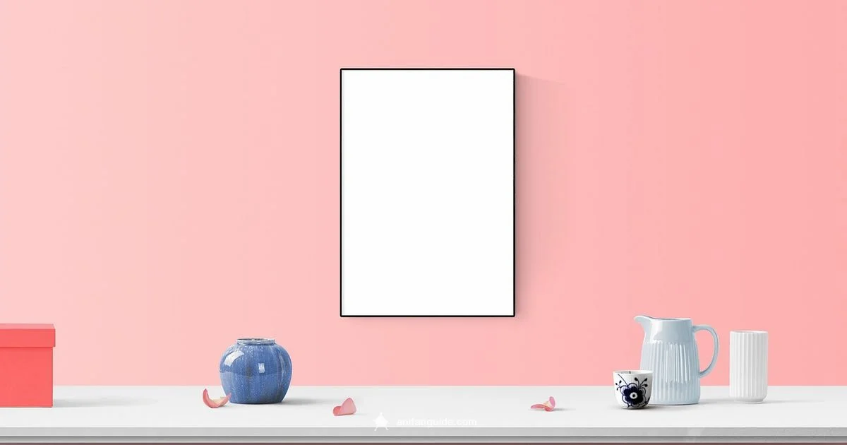 Are You Anime Fan - AniFanGuide