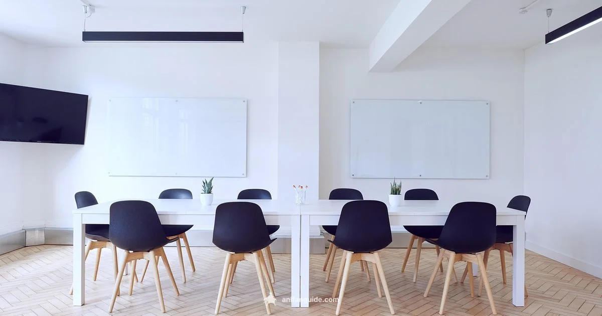 Solo Leveling Update - AniFanGuide