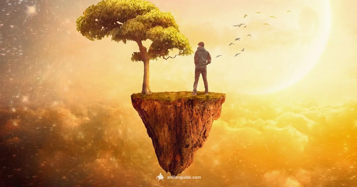 Anime Filter Guide - AniFanGuide