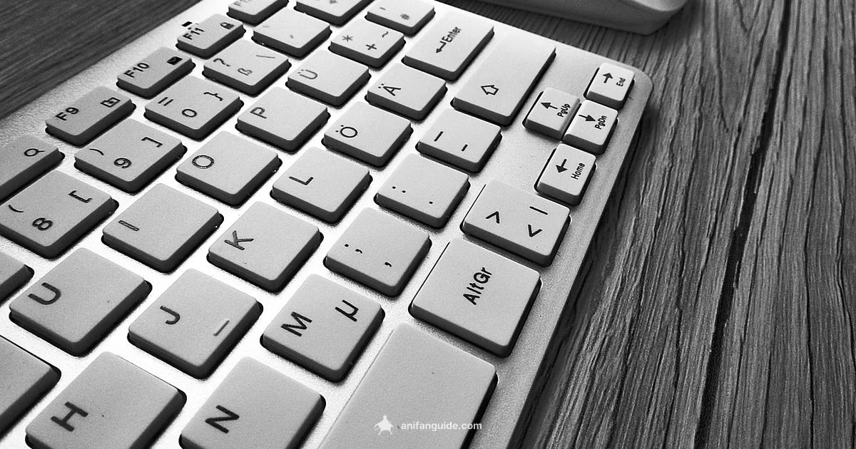 Anime Pad Care - AniFanGuide