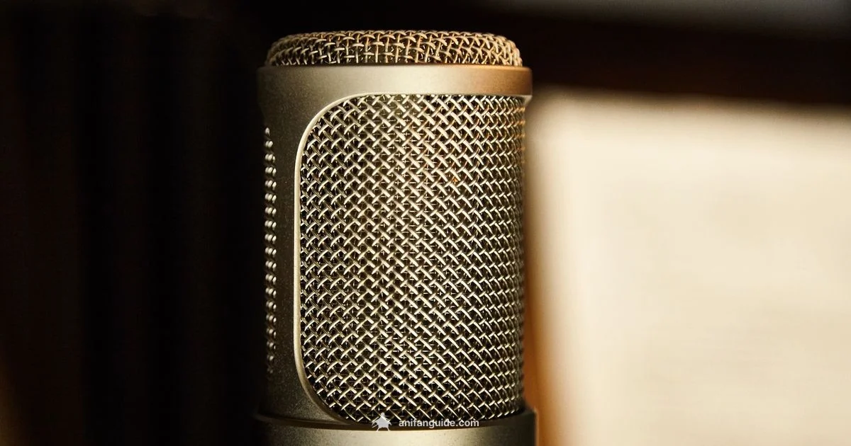 Dub Potential Signals - AniFanGuide