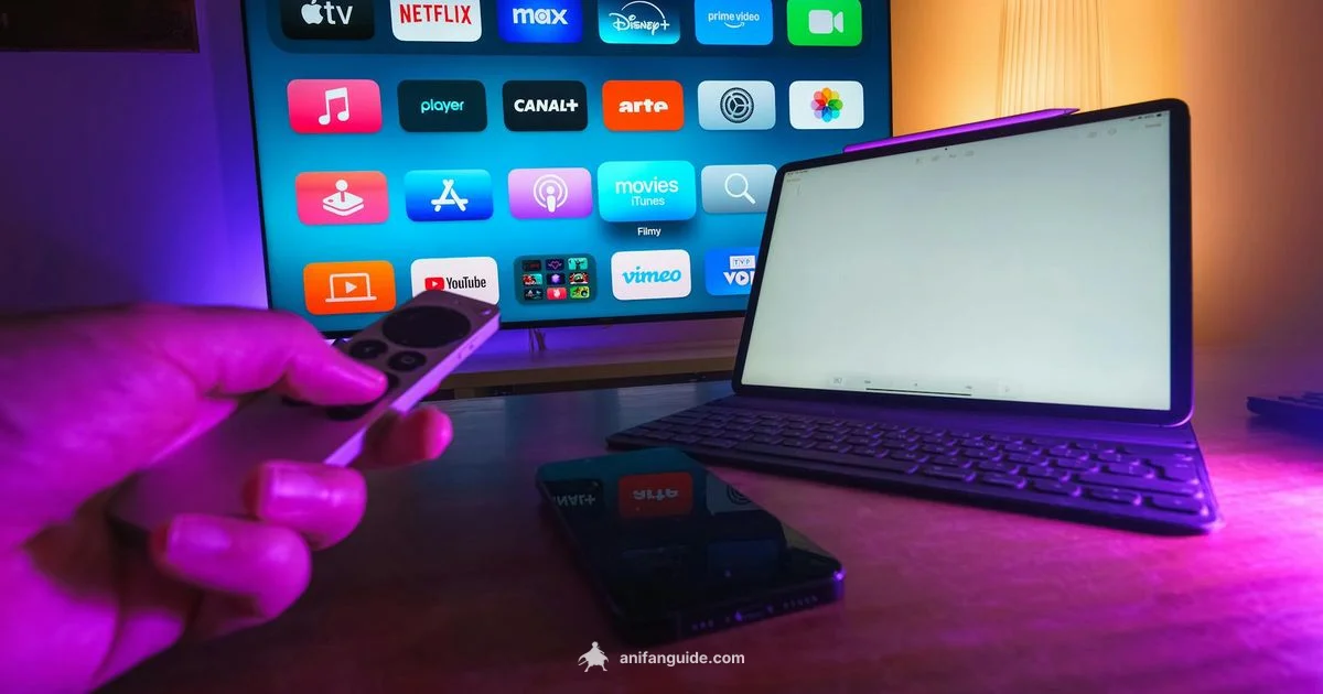 Top Anime Streams - AniFanGuide