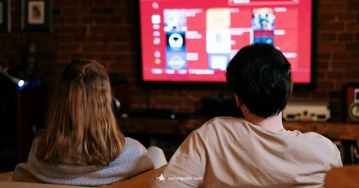 Dub or Sub Guide - AniFanGuide