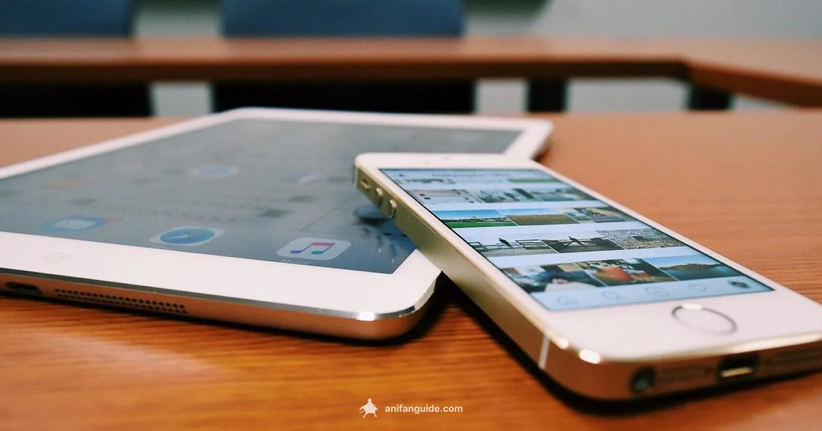 Draw Anime App Guide - AniFanGuide