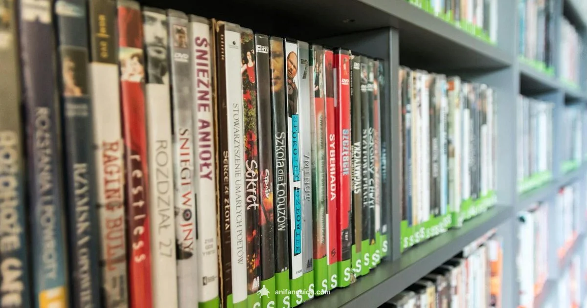 Anime on DVD - AniFanGuide