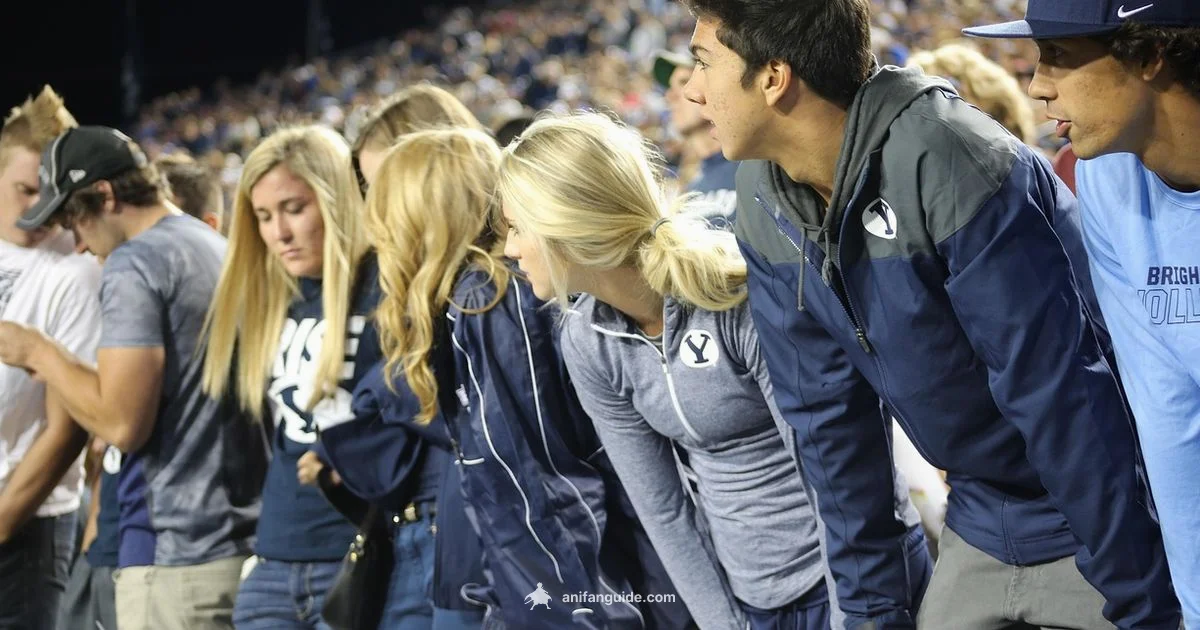 Trailer Signals Decoded - AniFanGuide