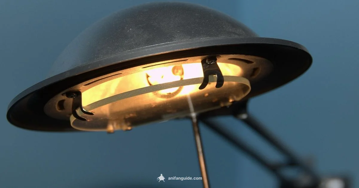 Anime vs Cartoon Guide - AniFanGuide