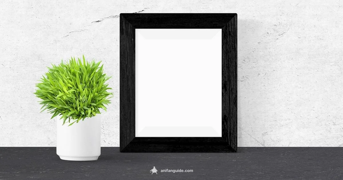 Check Anime Like a Pro - AniFanGuide