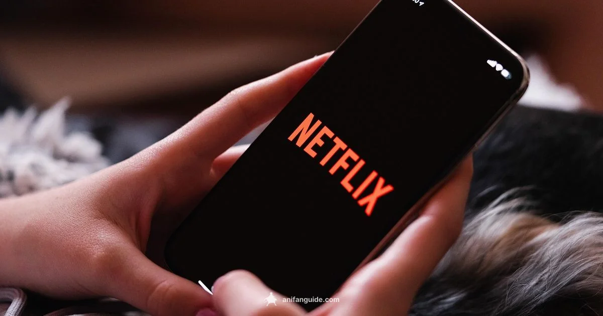 HiAnime Troubleshoot - AniFanGuide