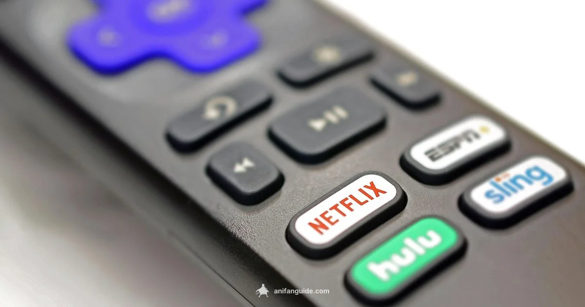 Hulu Anime Guide - AniFanGuide