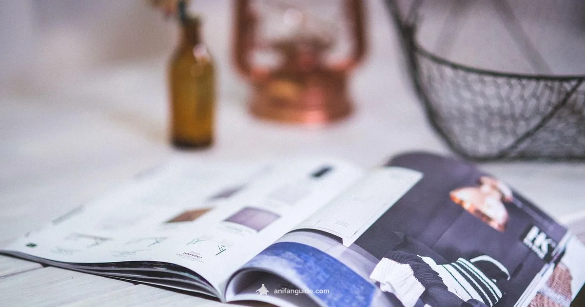 Anime Count Guide - AniFanGuide