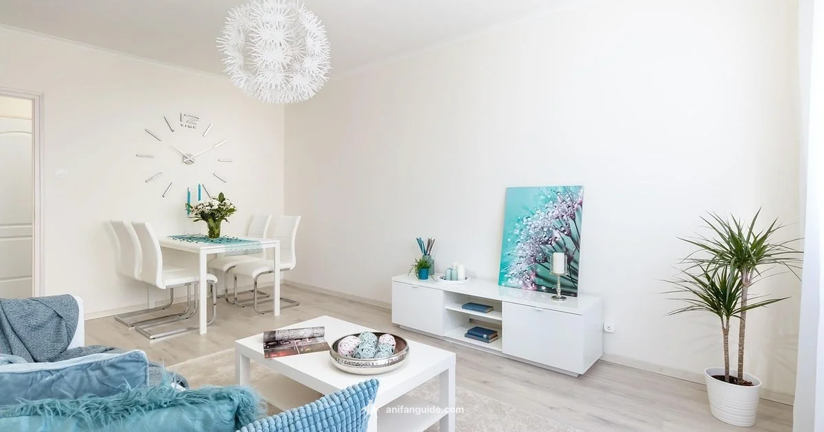 Legally Watching Anime - AniFanGuide