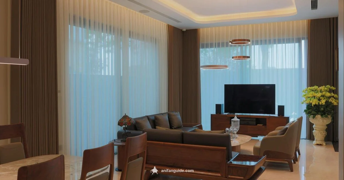 Stremio Anime Guide - AniFanGuide