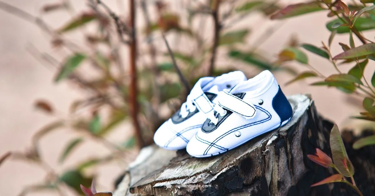 Pregnancy Anemia Guide - AniFanGuide