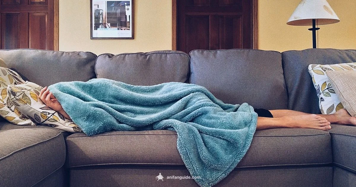 Global Anime Popularity - AniFanGuide