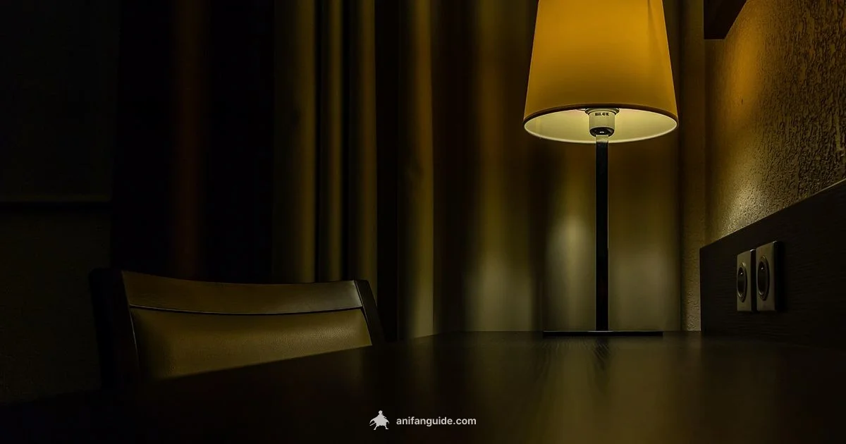 Anime Workflow - AniFanGuide